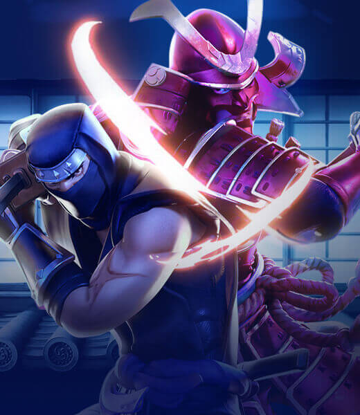 Ninja Vs Samurai